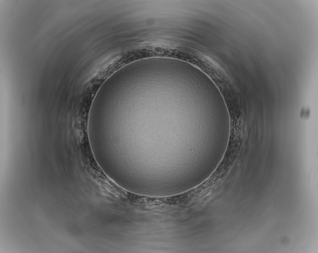 X0000092020774200709061552