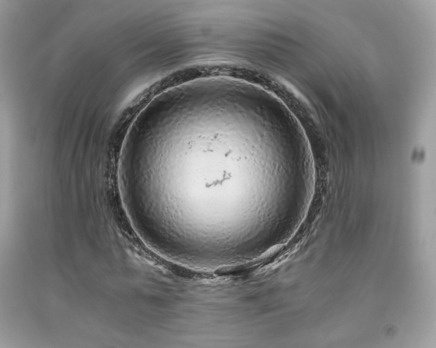 X0000092020775200709061552