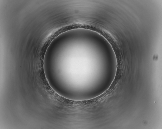 X0000092020776200709061552