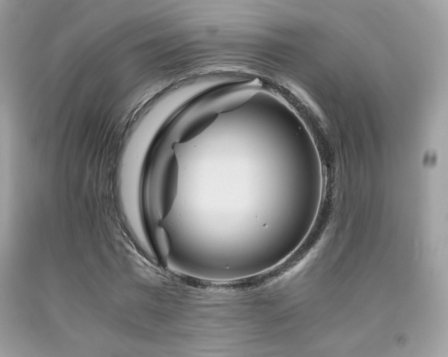 X0000092020777200709061552