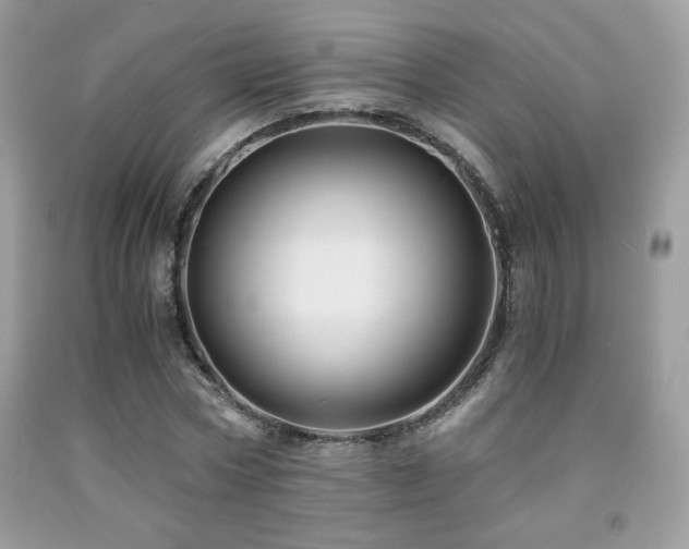 X0000092020778200709061552