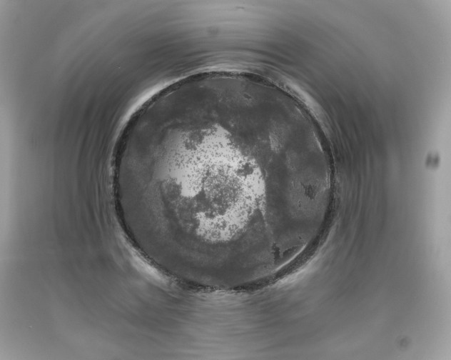 X0000092020779200709061552
