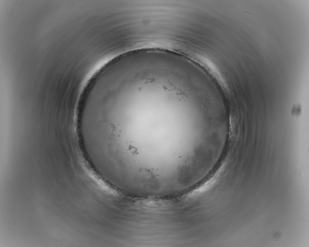 X0000092020780200709061552
