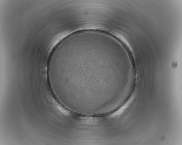 X0000092020781200709061552