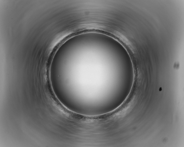 X0000092020782200709061552