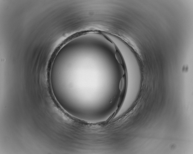 X0000092020784200709061552