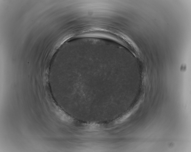 X0000092020785200709061552