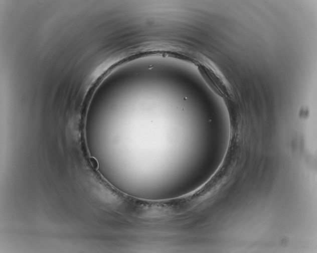 X0000092020786200709061552