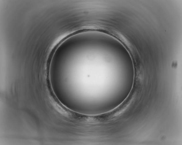 X0000092020787200709061552