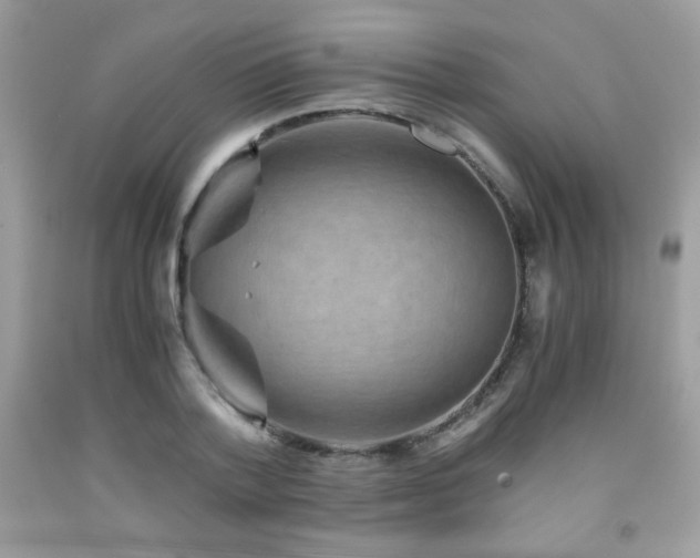 X0000092020788200709061552