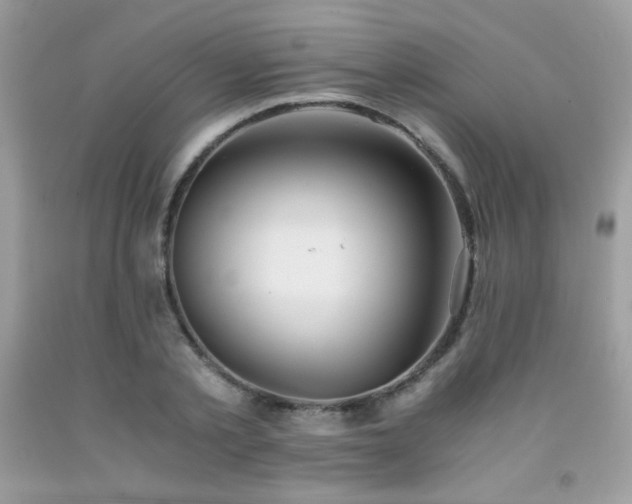 X0000092020789200709061552