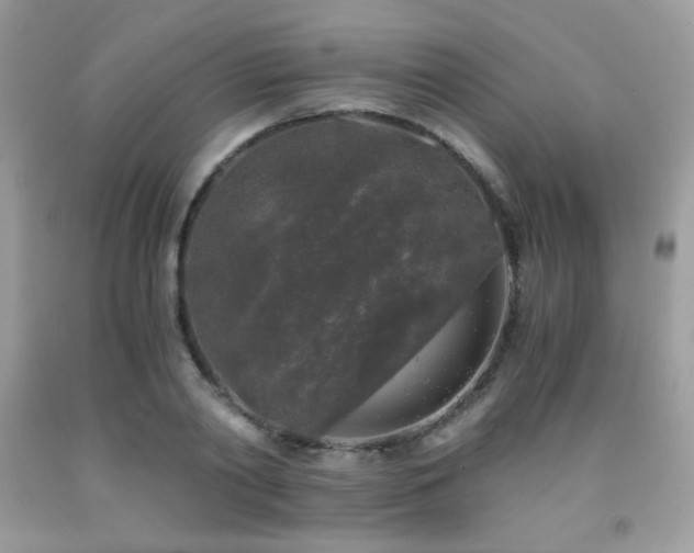 X0000092020790200709061552