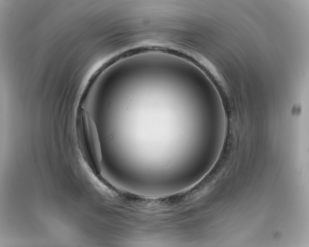 X0000092020791200709061552