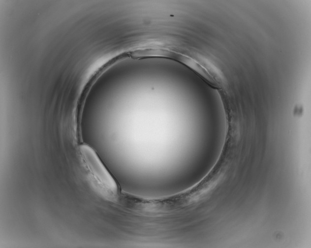 X0000092020792200709061552