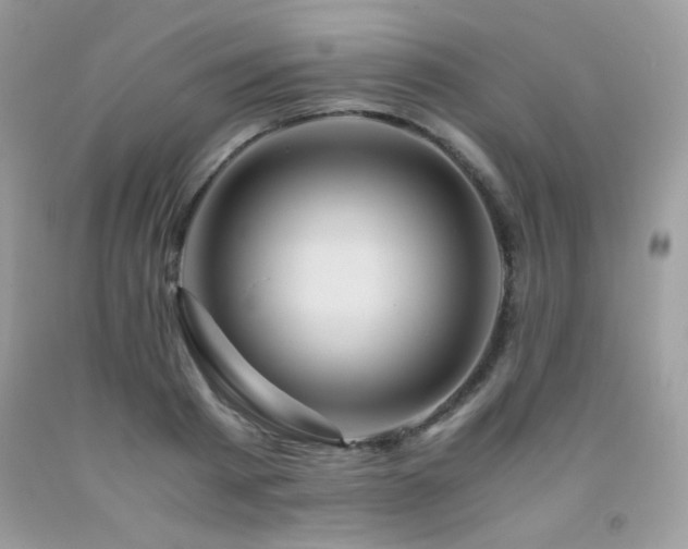 X0000092020793200709061552