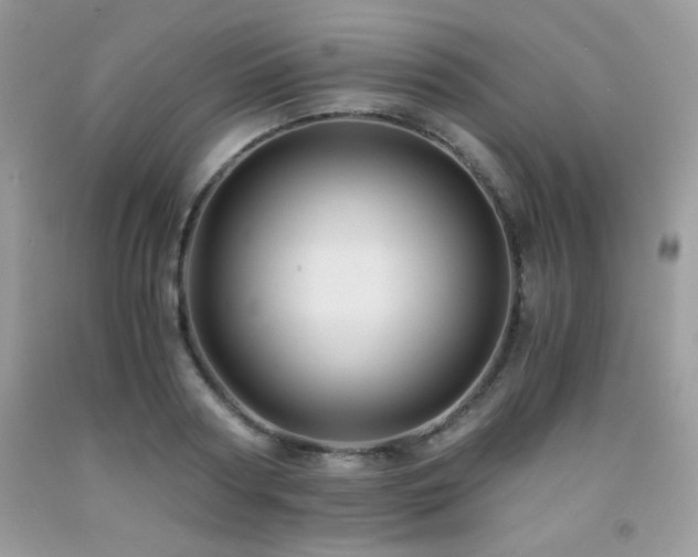X0000092020794200709061552