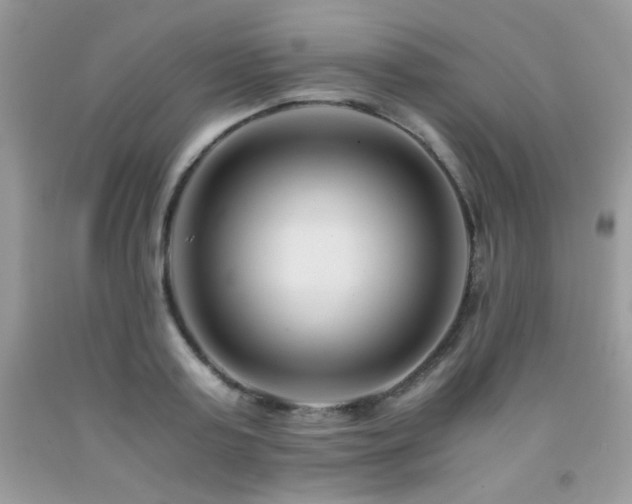 X0000092020795200709061552
