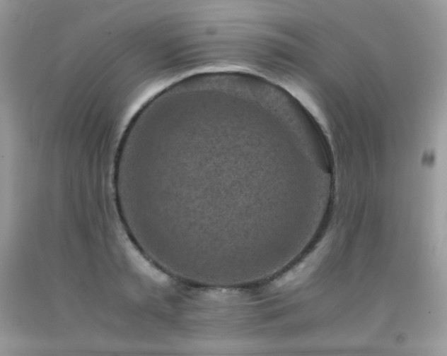 X0000092020797200709061552