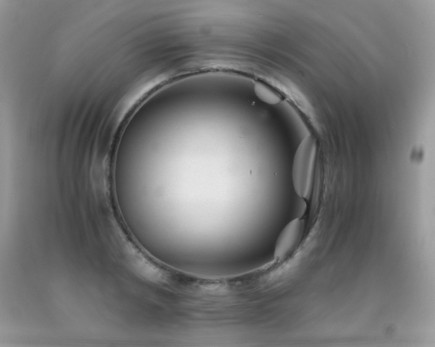 X0000092020798200709061552