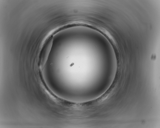 X0000092020799200709061552