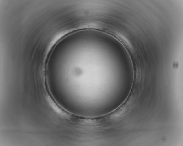 X0000092020800200709061552