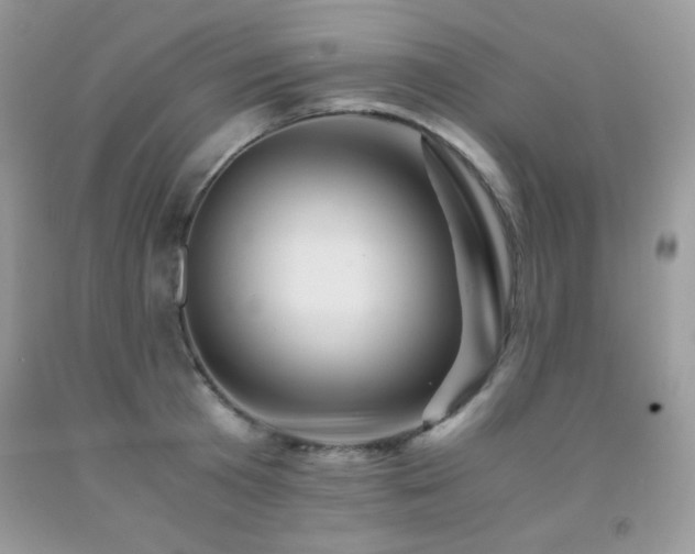 X0000092020801200709061552