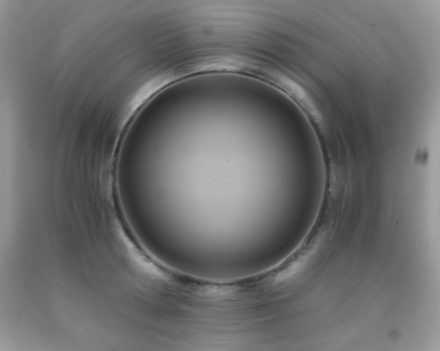 X0000092020802200709061552