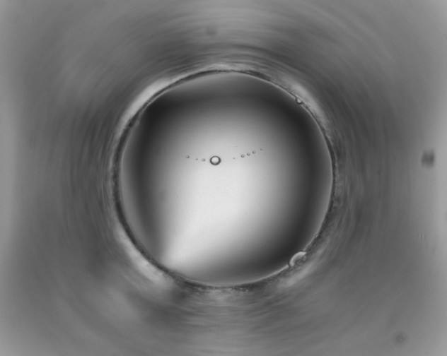 X0000092020803200709061552
