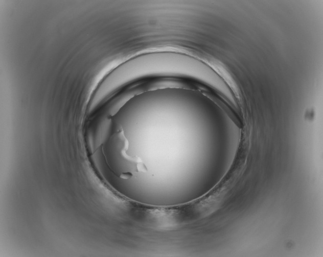 X0000092020805200709061552