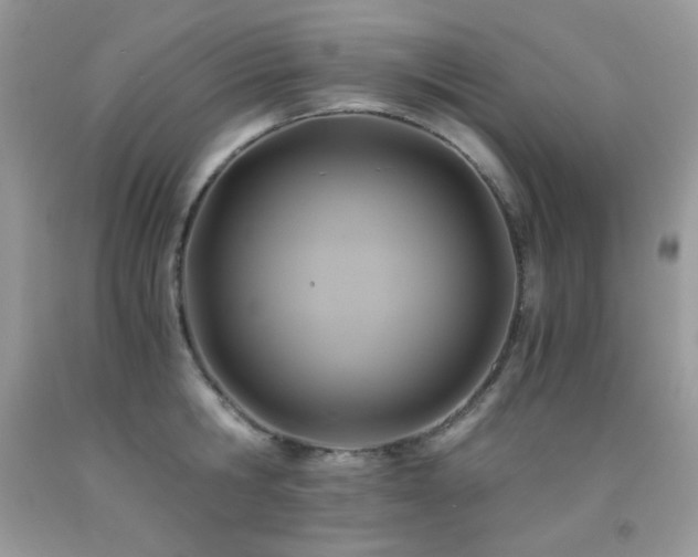 X0000092020806200709061552