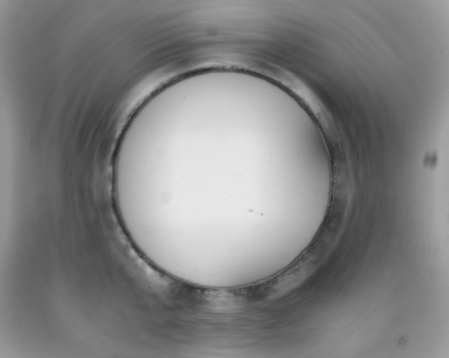 X0000092020807200709061552