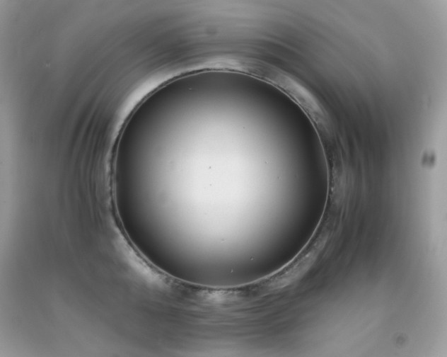 X0000092020808200709061552