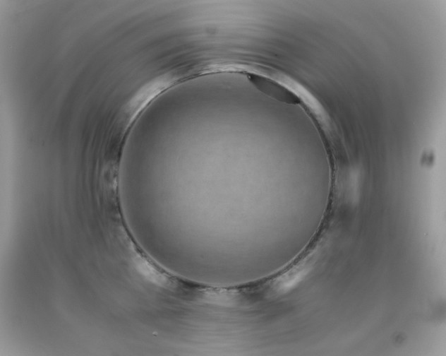 X0000092020809200709061552