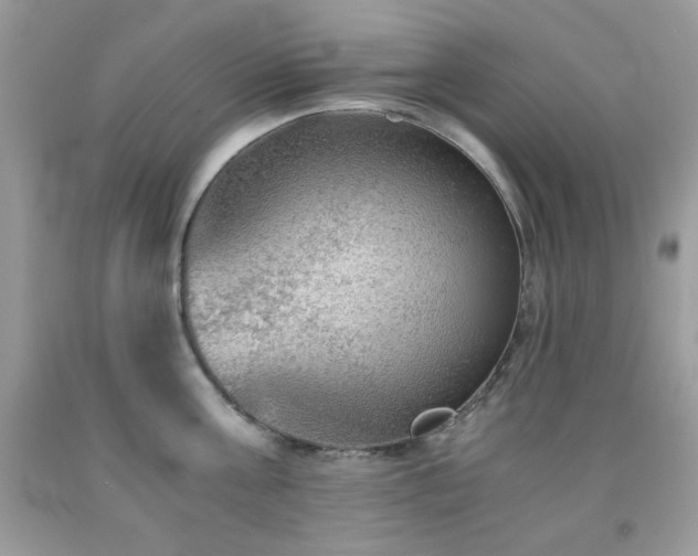 X0000092020811200709061552