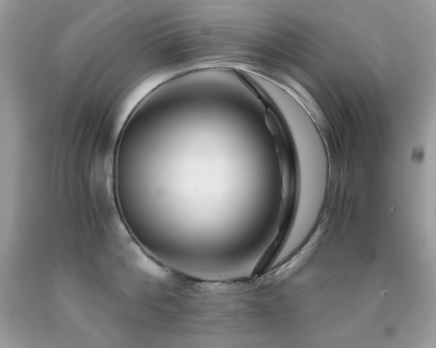 X0000092020812200709061552