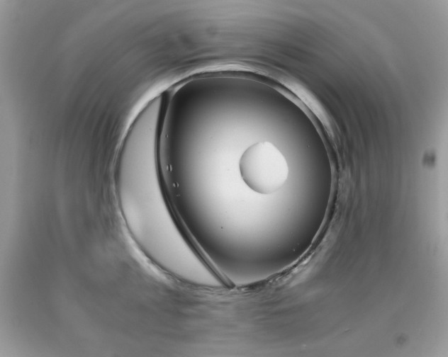 X0000092020813200709061552