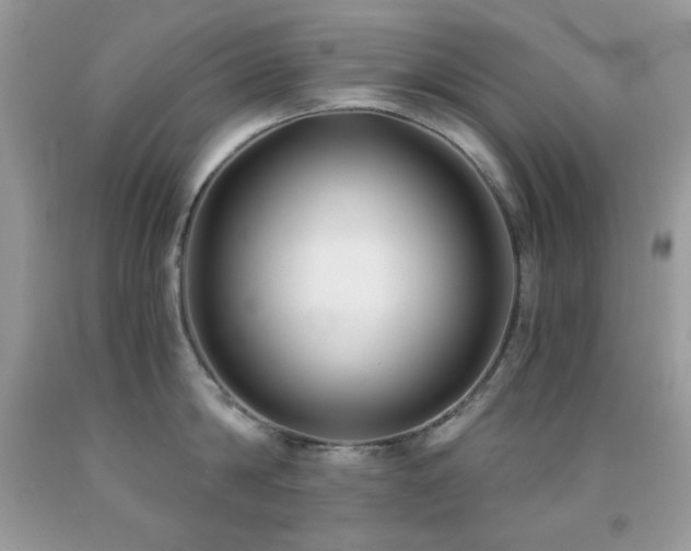 X0000092020814200709061552