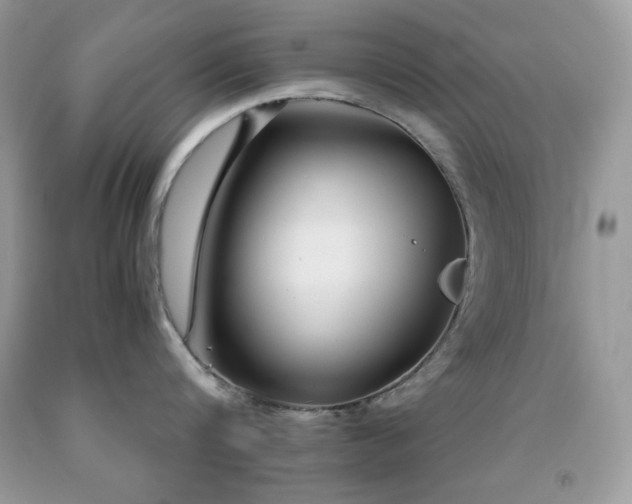 X0000092020816200709061552
