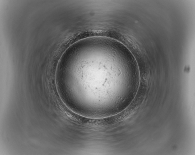 X0000092020817200709061551