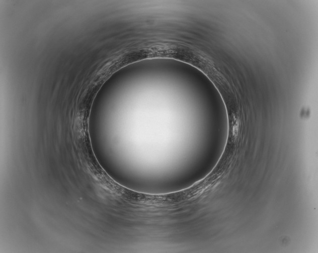 X0000092020819200709061551