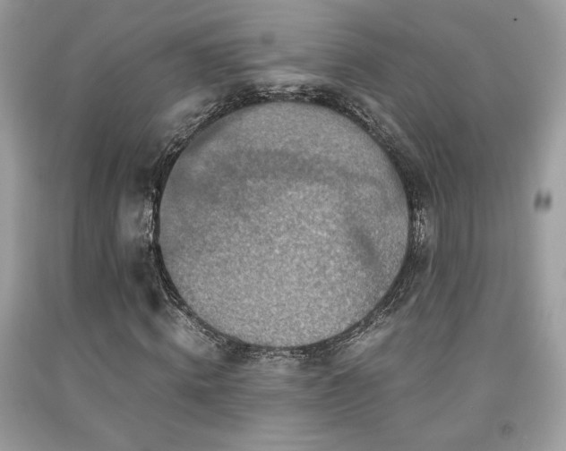 X0000092020820200709061551