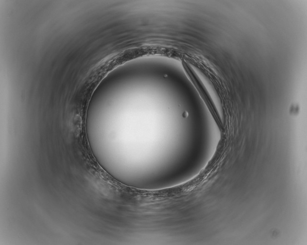 X0000092020821200709061551