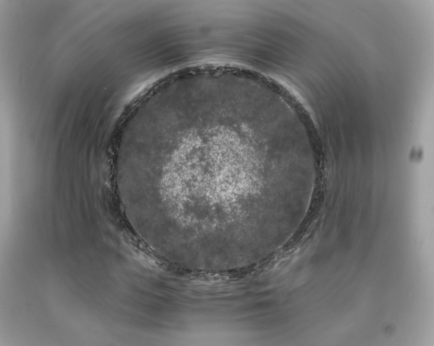 X0000092020823200709061551