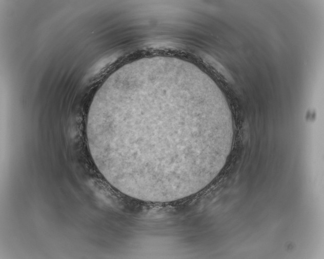X0000092020824200709061551