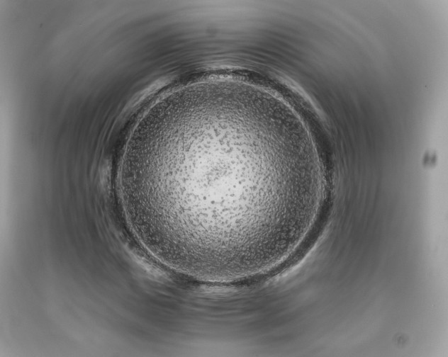 X0000092020825200709061551
