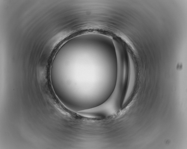 X0000092020826200709061551