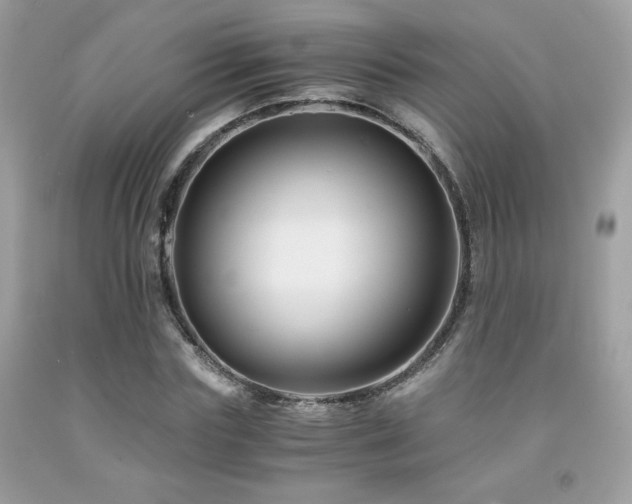 X0000092020827200709061551