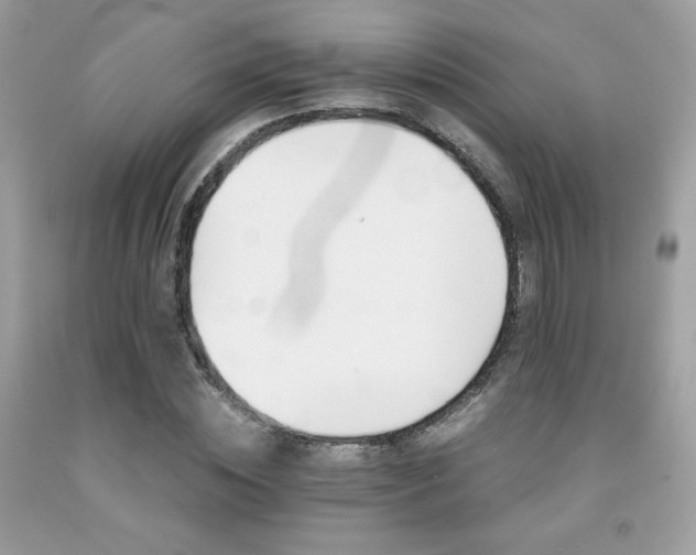 X0000092020828200709061551