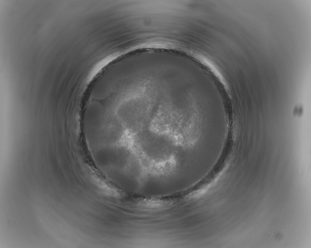 X0000092020829200709061551