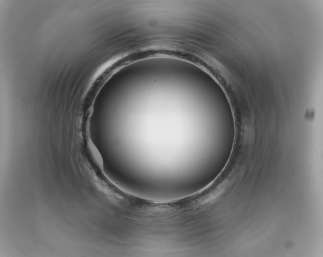 X0000092020830200709061551